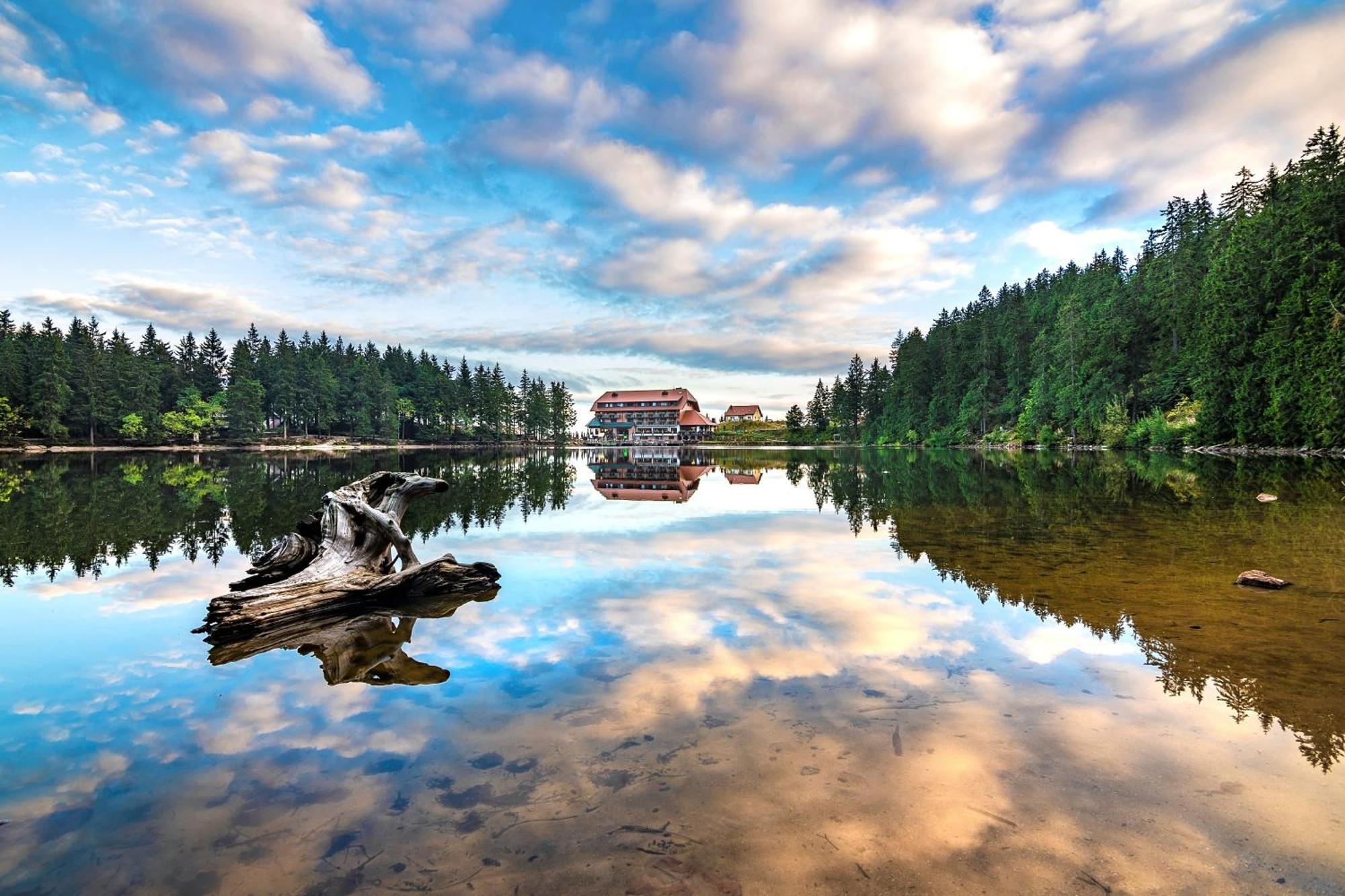 Berghotel Mummelsee Seebach Kültér fotó